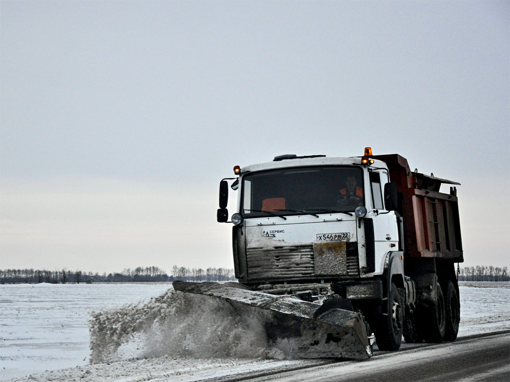 Алтайский край, № Х 546 РМ 22 — МАЗ-651705