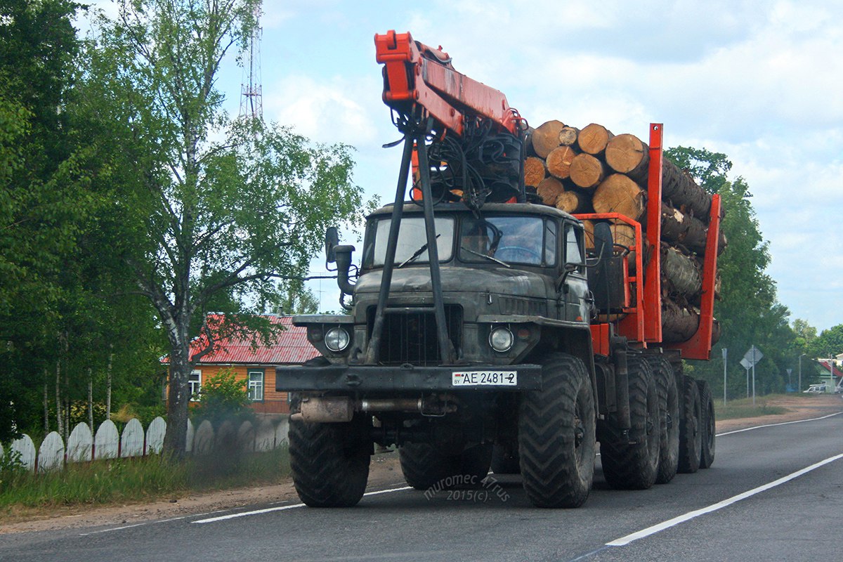 Витебская область, № АЕ 2481-2 — Урал-375 (общая модель)