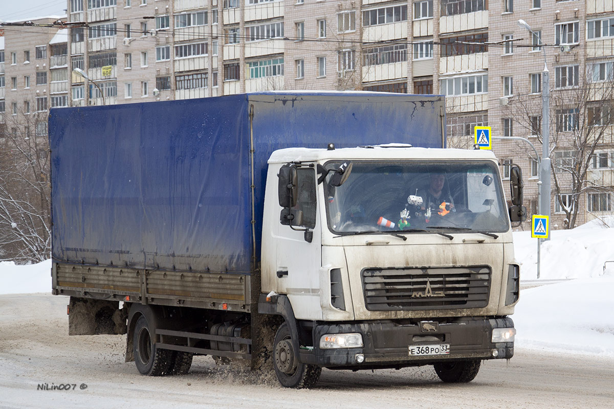 Владимирская область, № Е 368 РО 33 — МАЗ-4371P2 "Зубрёнок"