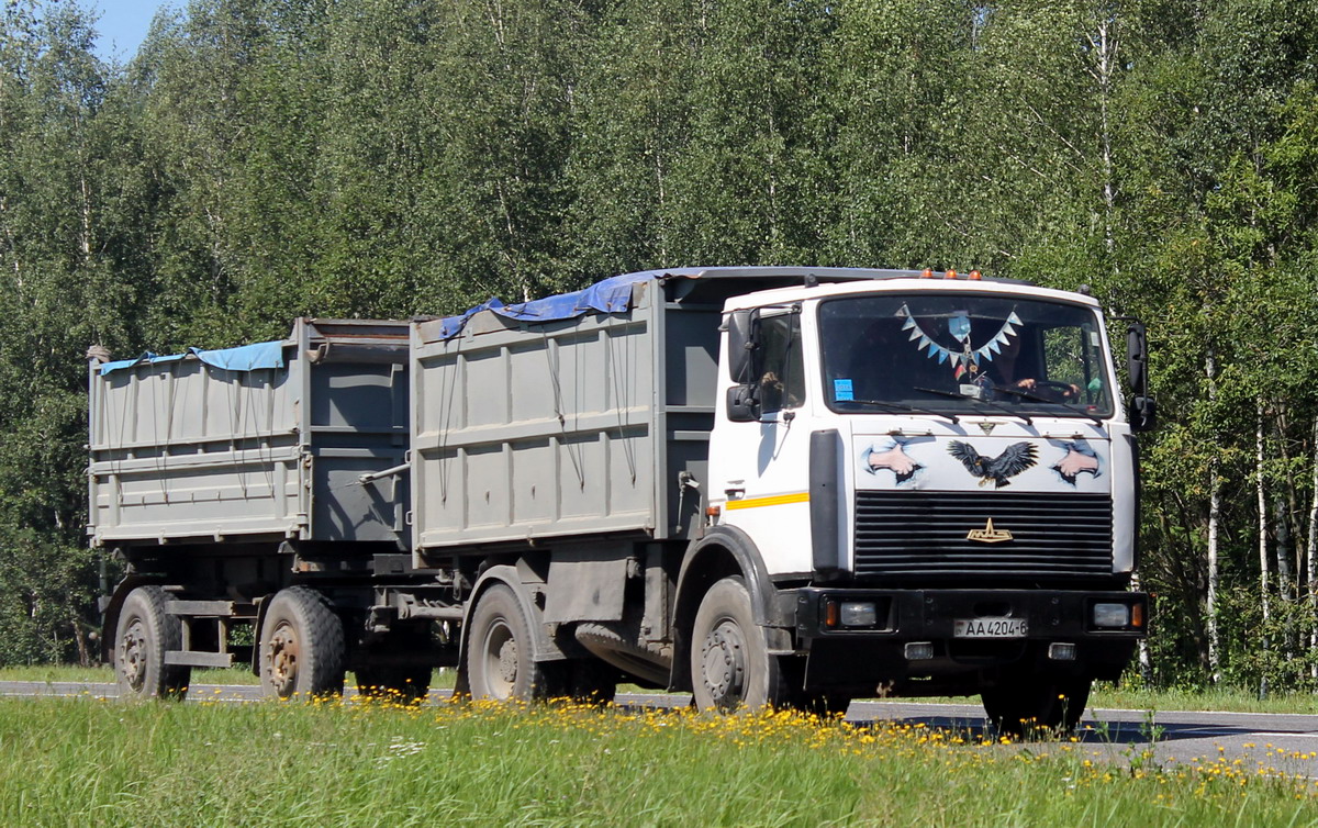 Могилёвская область, № АА 4204-6 — МАЗ-5551 (общая модель)