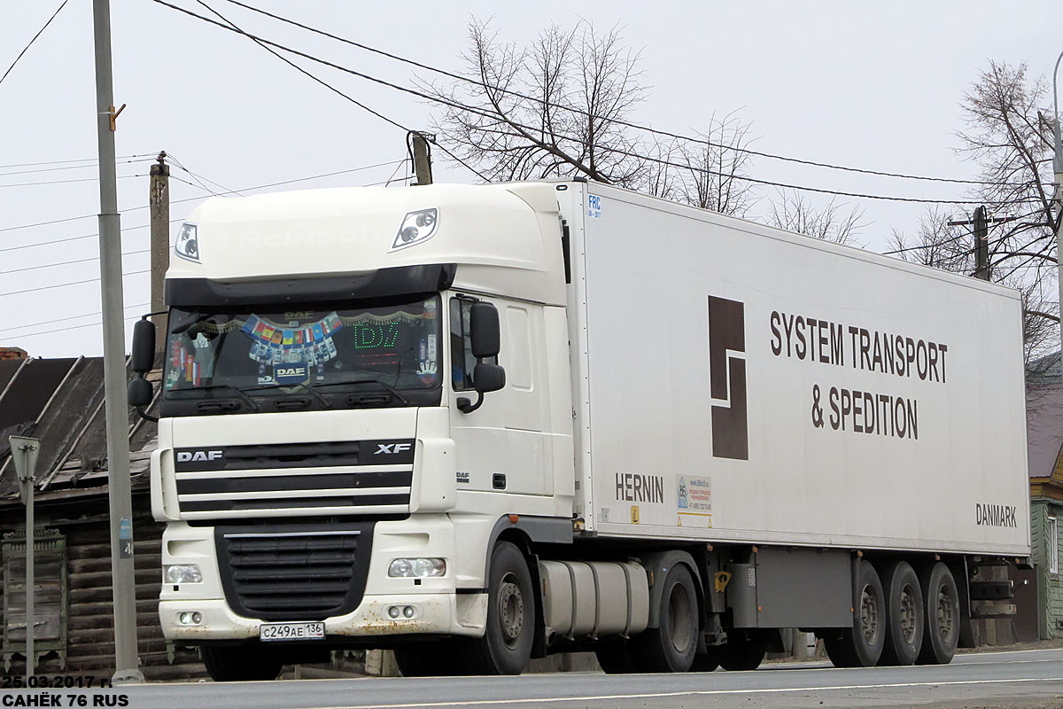 Воронежская область, № С 249 АЕ 136 — DAF XF105 FT