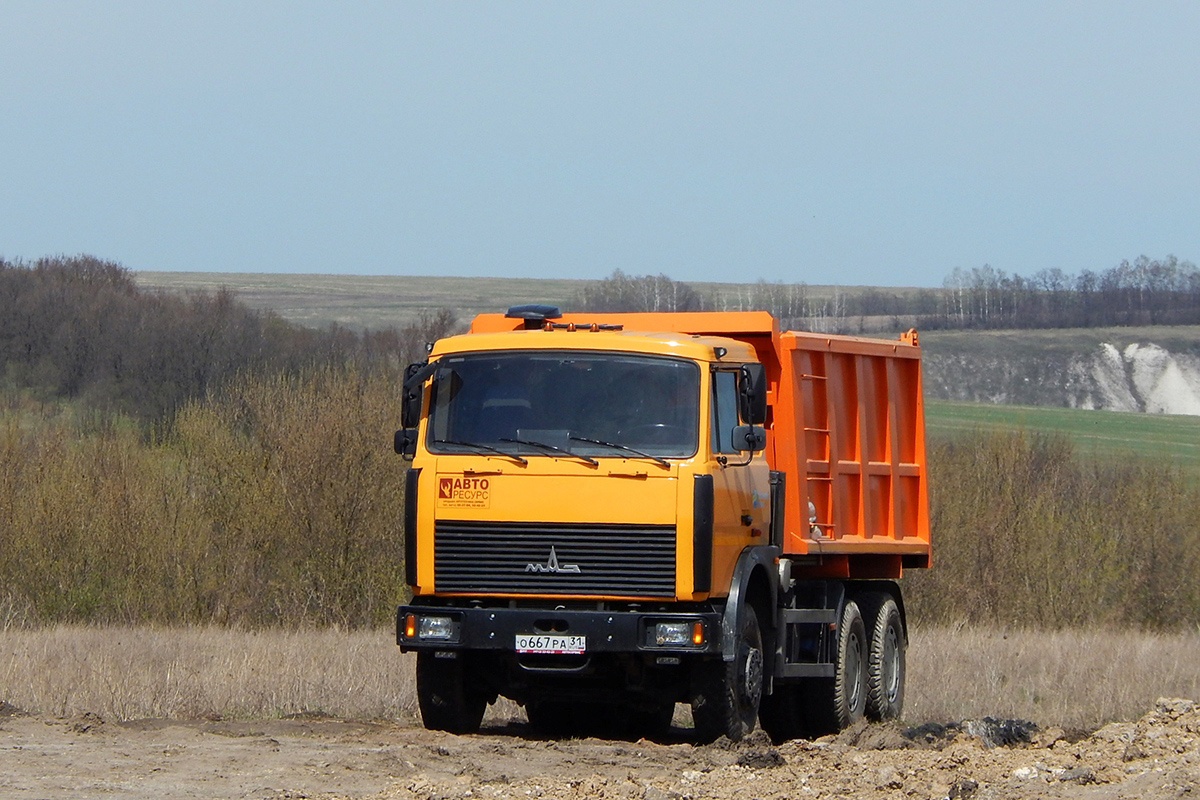 Белгородская область, № О 667 РА 31 — МАЗ-5516 (общая модель)