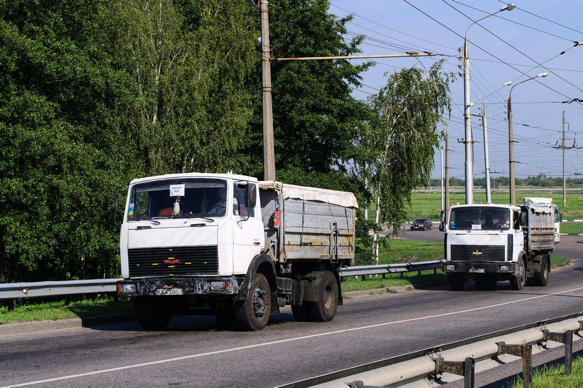 Гомельская область, № АА 3360-3 — МАЗ-5551 (общая модель)