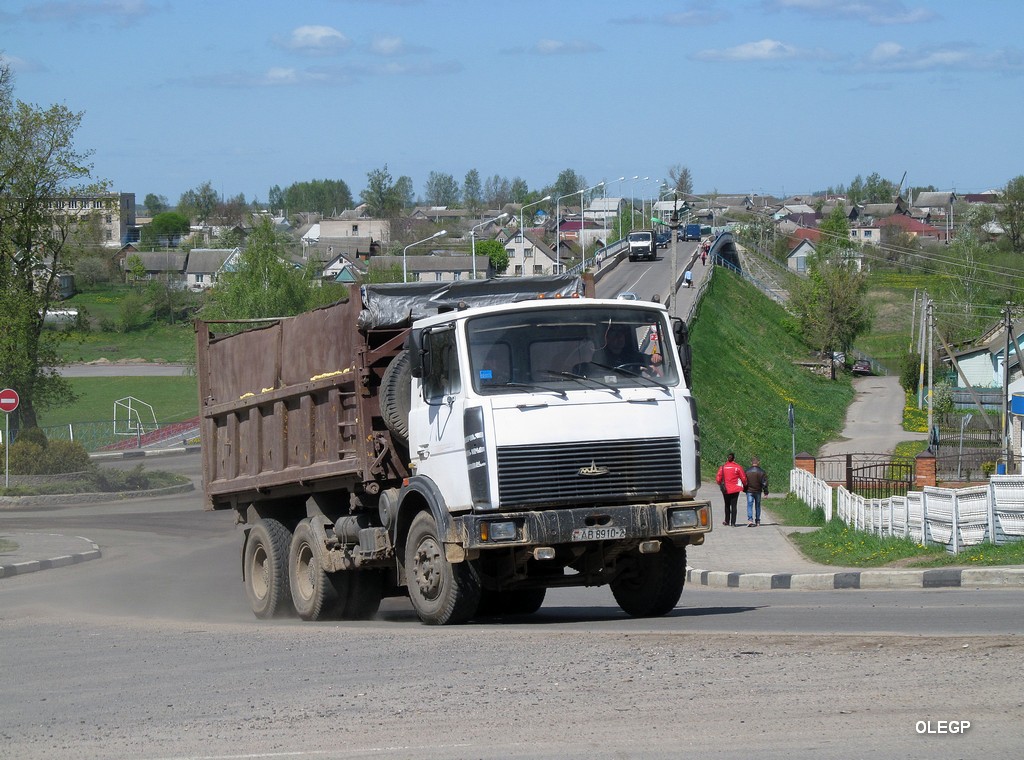 Витебская область, № АВ 8910-2 — МАЗ-5516 (общая модель)