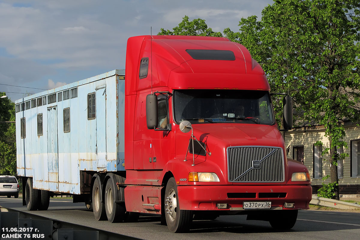 Воронежская область, № О 370 РХ 36 — Volvo VNL660