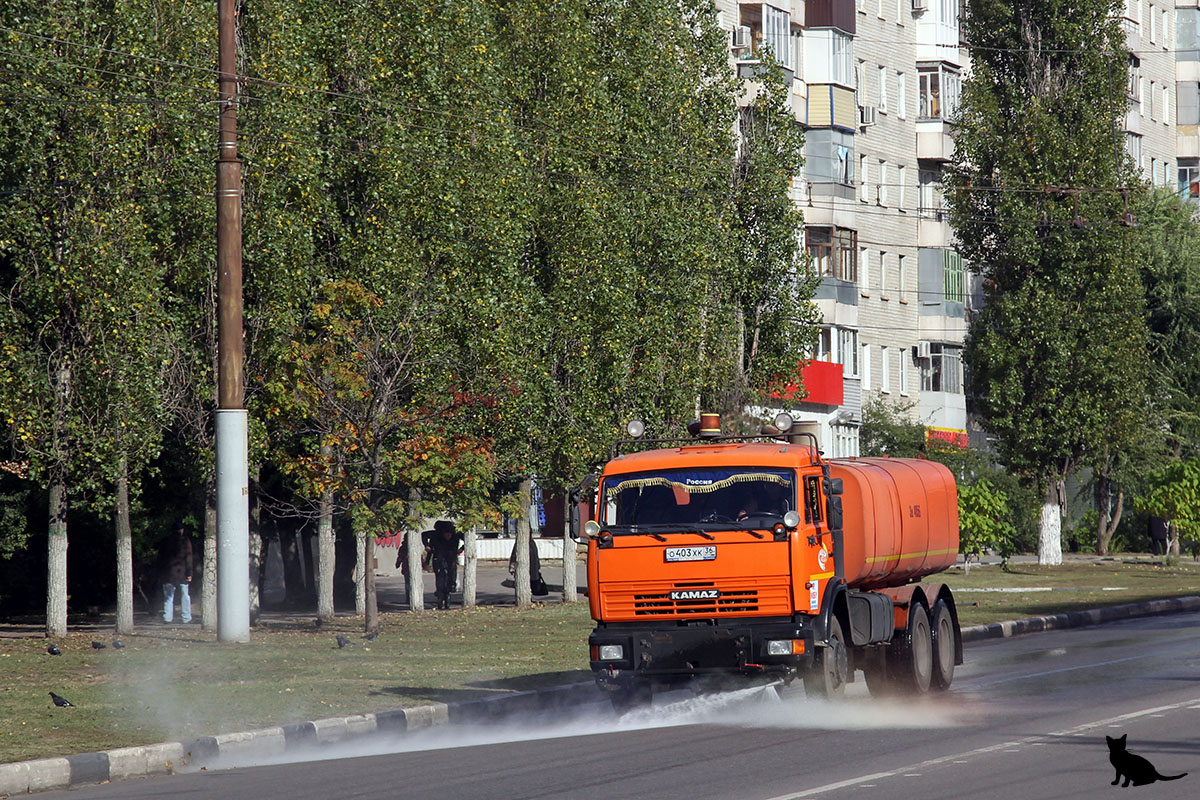 Воронежская область, № О 403 ХК 36 — КамАЗ-65115-62