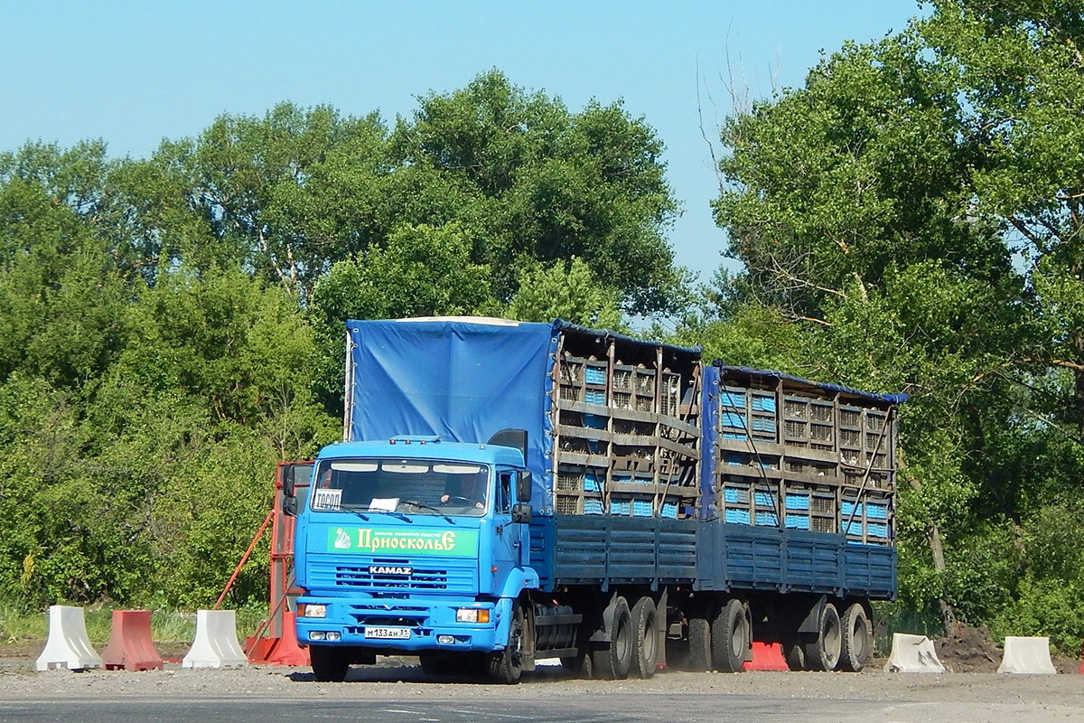 Белгородская область, № М 133 АН 31 — КамАЗ-65117-62