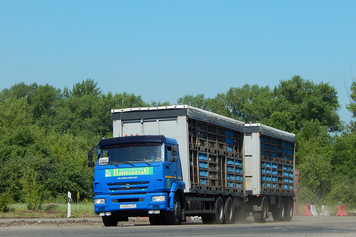 Белгородская область, № О 403 ЕК 31 — КамАЗ-65117-A4