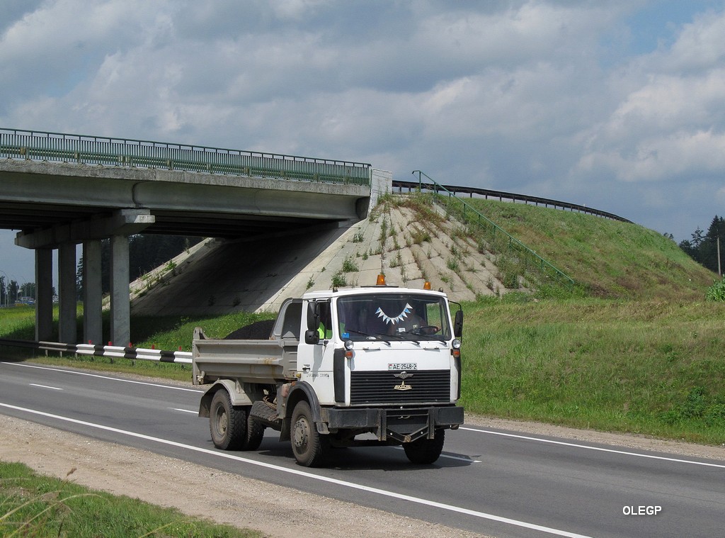 Витебская область, № АЕ 2548-2 — МАЗ-5551 (общая модель)