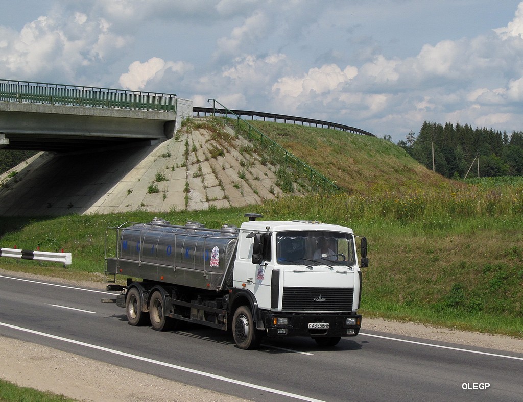 Могилёвская область, № АВ 5265-6 — МАЗ-6303 (общая модель)