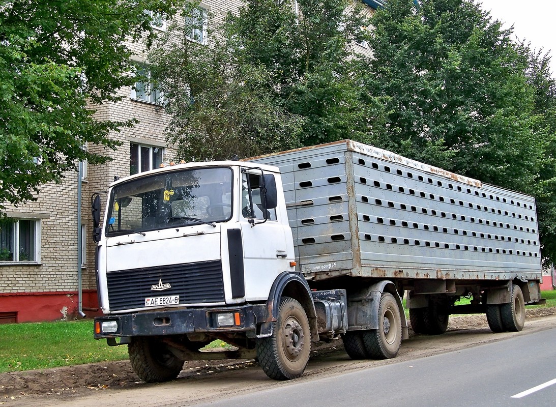 Могилёвская область, № АЕ 6824-6 — МАЗ-5433 (общая модель)