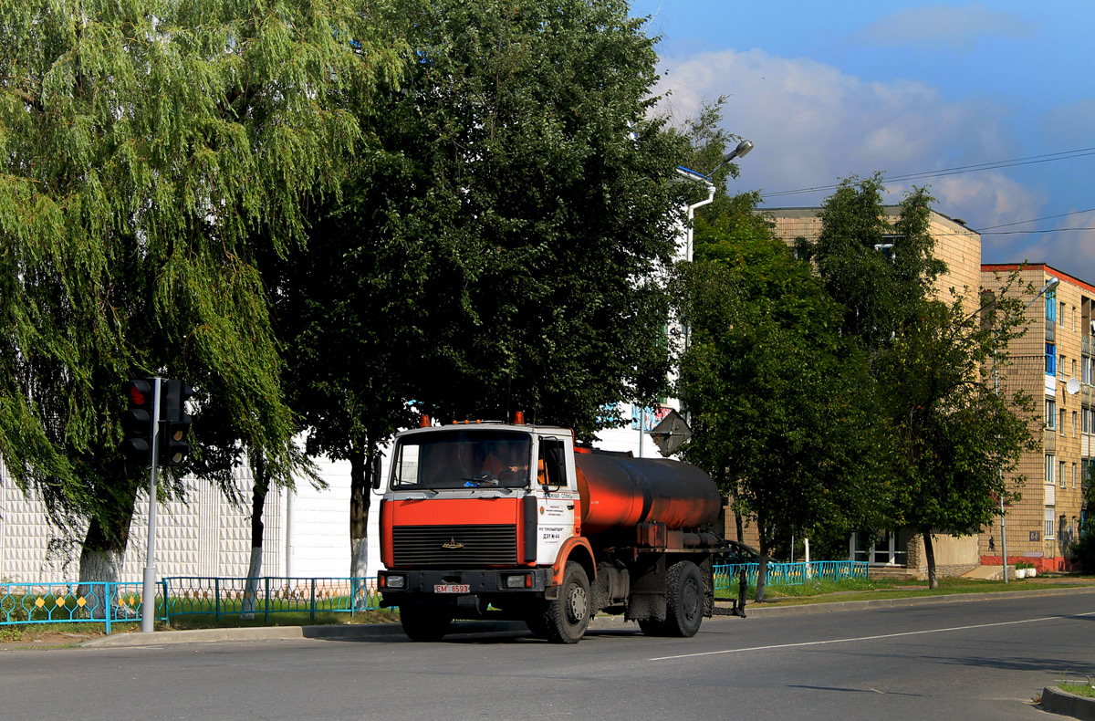 Гомельская область, № ЕМ 8593 — МАЗ-5337 (общая модель)