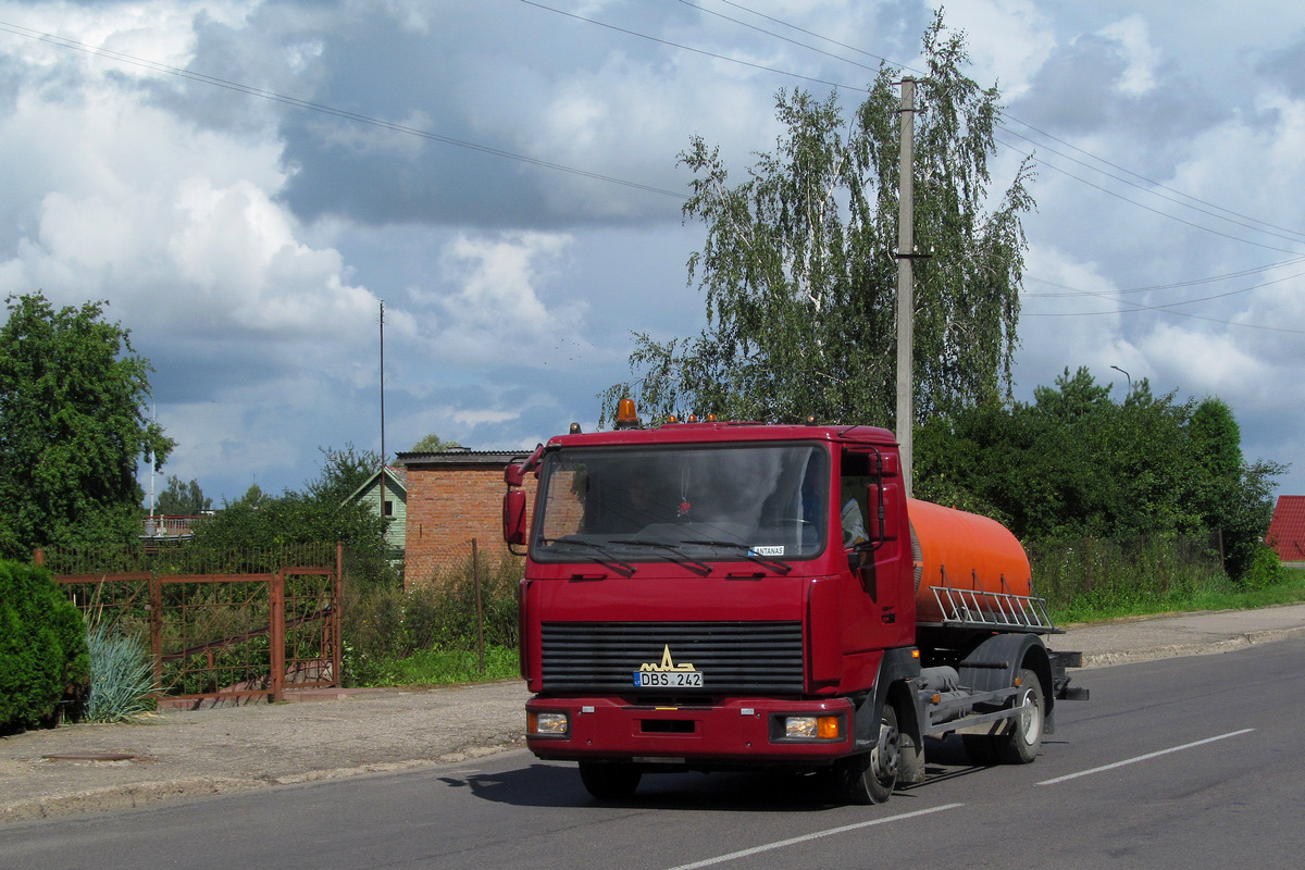 Литва, № DBS 242 — МАЗ-437137 "Зубрёнок" [Z3C]