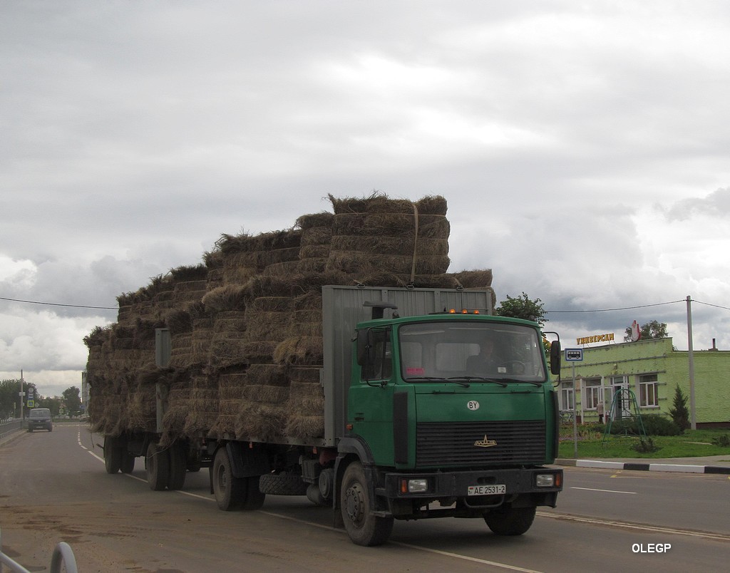 Витебская область, № АЕ 2531-2 — МАЗ-5336 (общая модель)