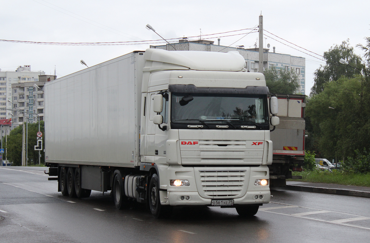 Калининградская область, № О 561 ХЕ 39 — DAF XF105 FT