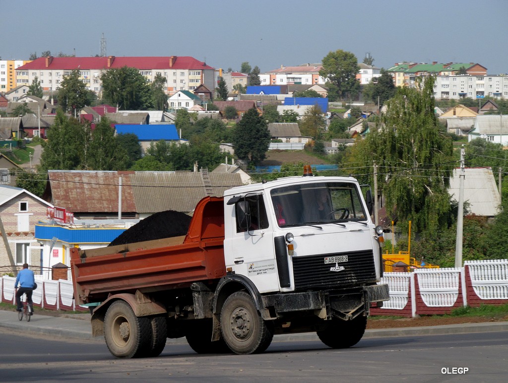 Витебская область, № АВ 8968-2 — МАЗ-5551 (общая модель)