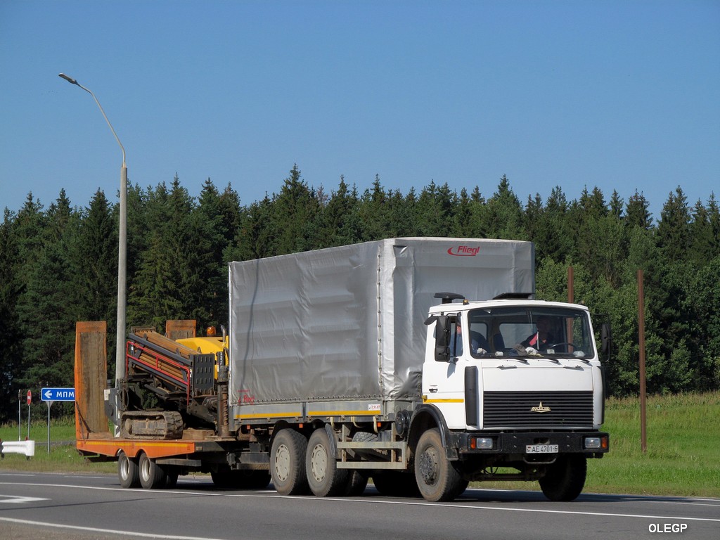 Могилёвская область, № АЕ 4701-6 — МАЗ-6303 (общая модель)