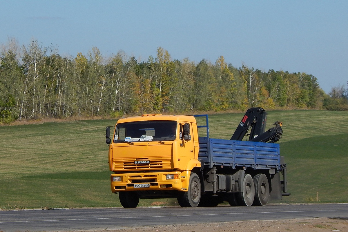 Белгородская область, № Р 206 ЕР 31 — КамАЗ-6520-60