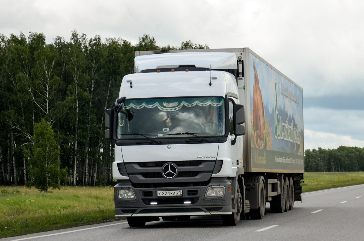 Алтайский край, № О 221 КА 31 — Mercedes-Benz Actros '09 1841 [Z9M]