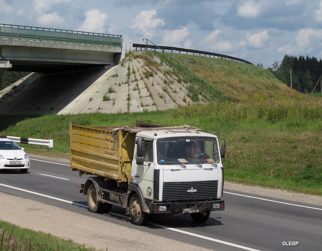 Витебская область, № АЕ 1484-2 — МАЗ-4570 (общая модель)