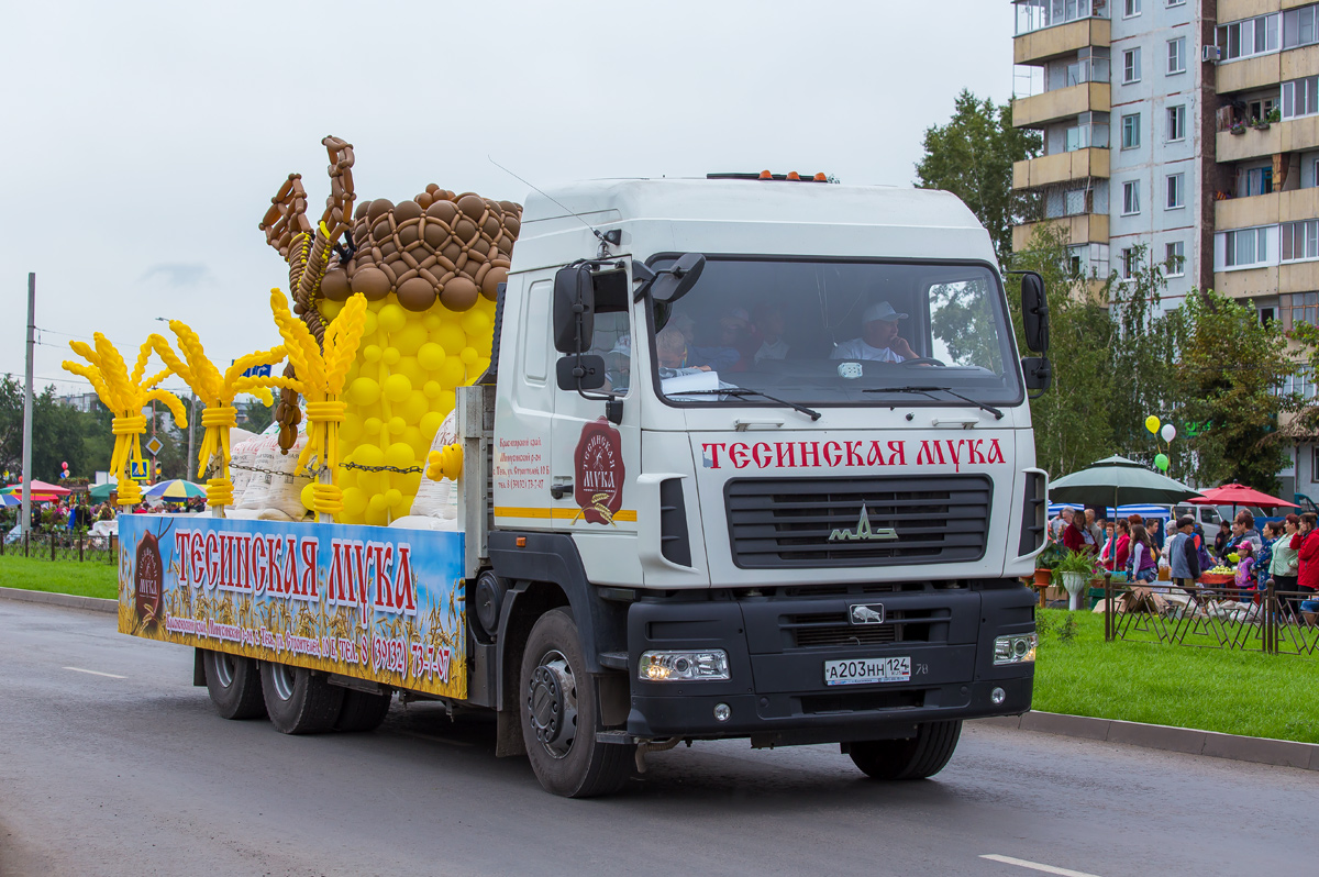 Красноярский край, № А 203 НН 124 — МАЗ-6312H9