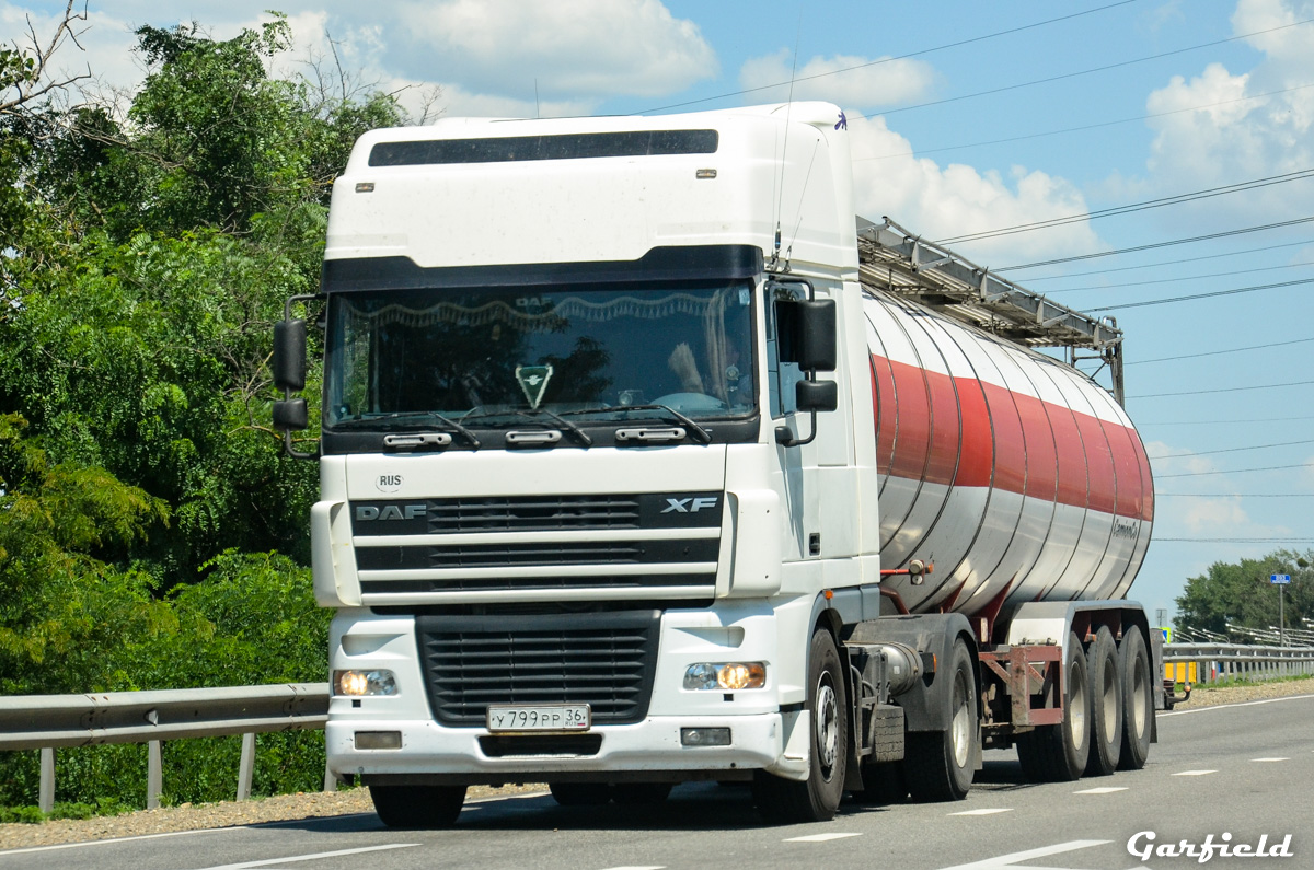 Воронежская область, № У 799 РР 36 — DAF XF95 FT