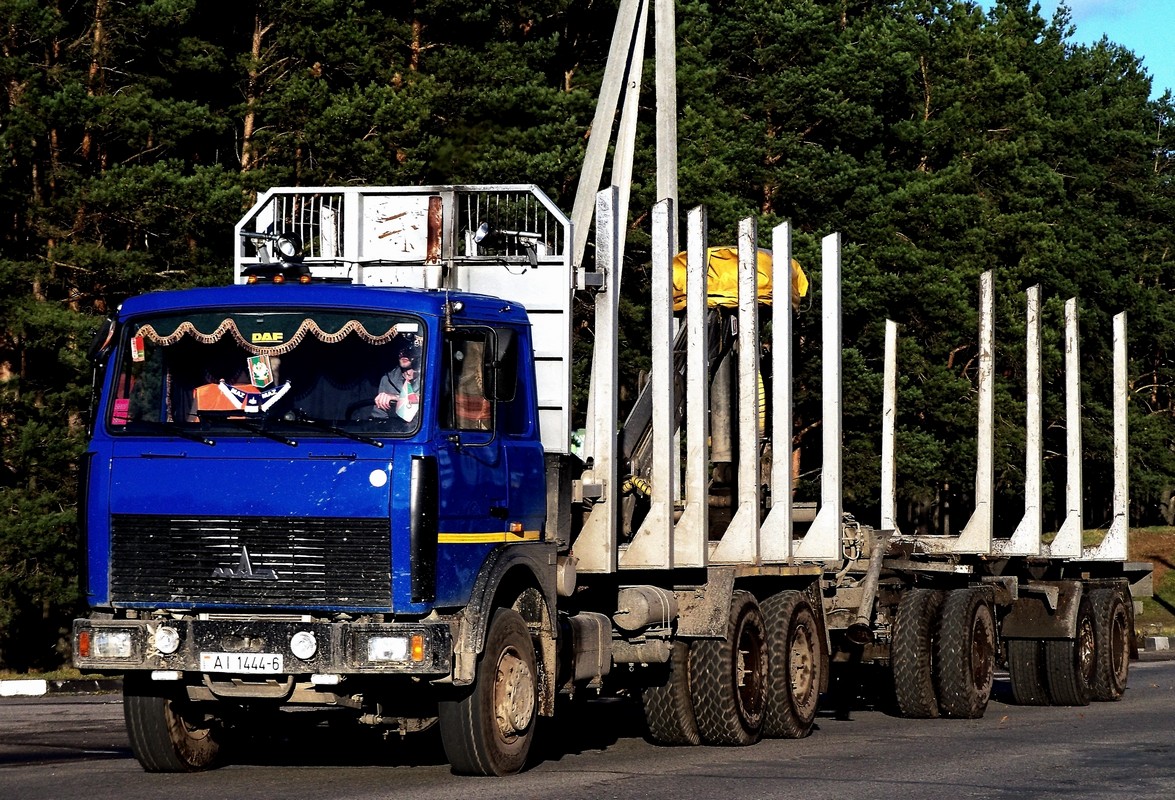 Могилёвская область, № АІ 1444-6 — МАЗ-6303 (общая модель)