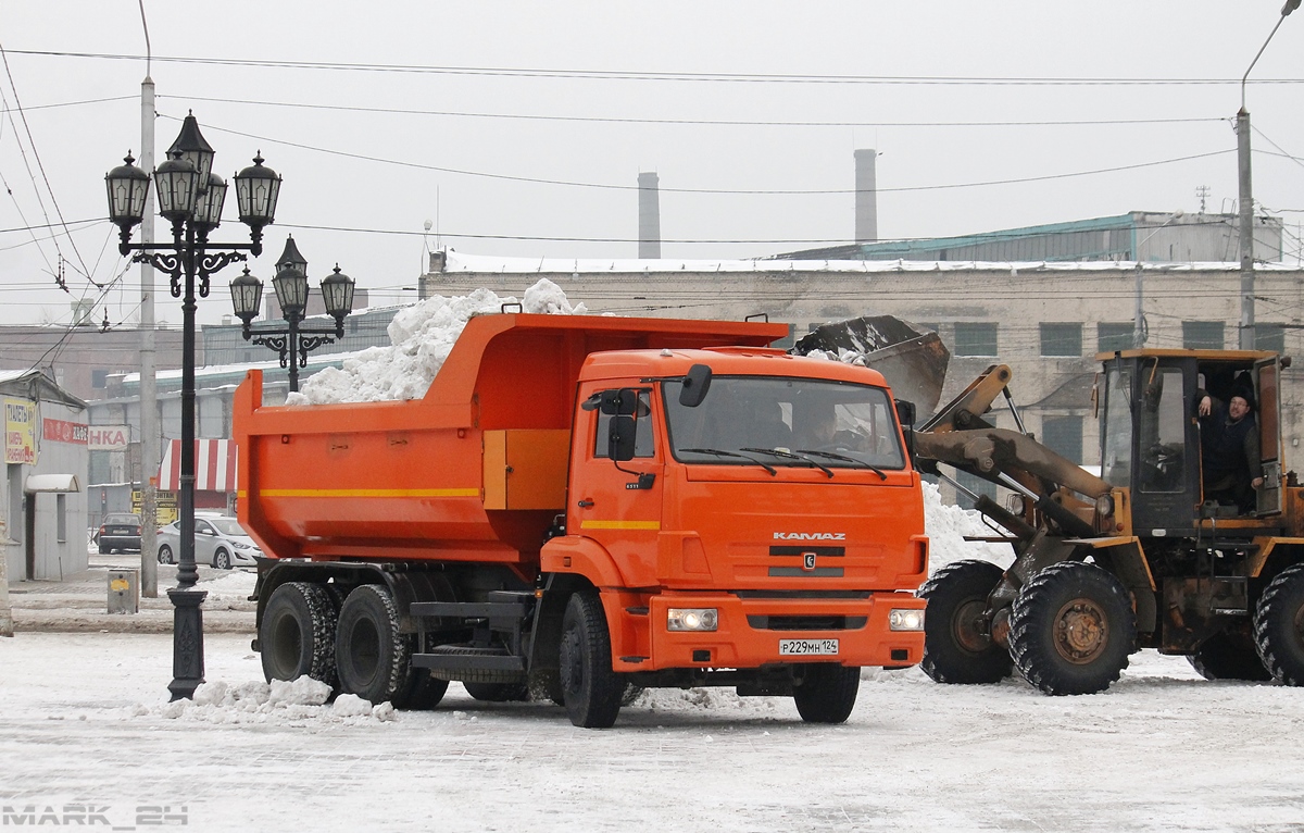 Красноярский край, № Р 229 МН 124 — КамАЗ-65115-N3