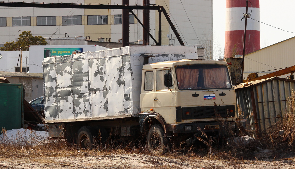 Ханты-Мансийский автоном.округ, № (86) Б/Н 0029 — МАЗ-53371