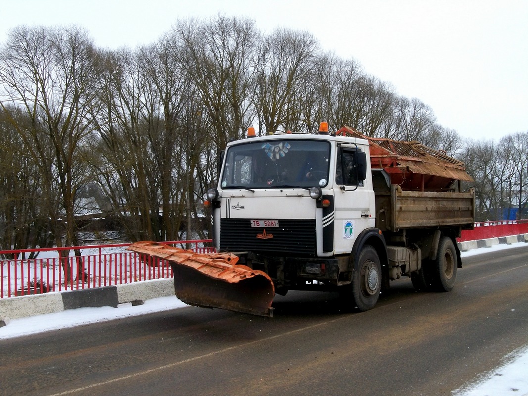 Могилёвская область, № ТВ 5081 — МАЗ-5551 (общая модель)