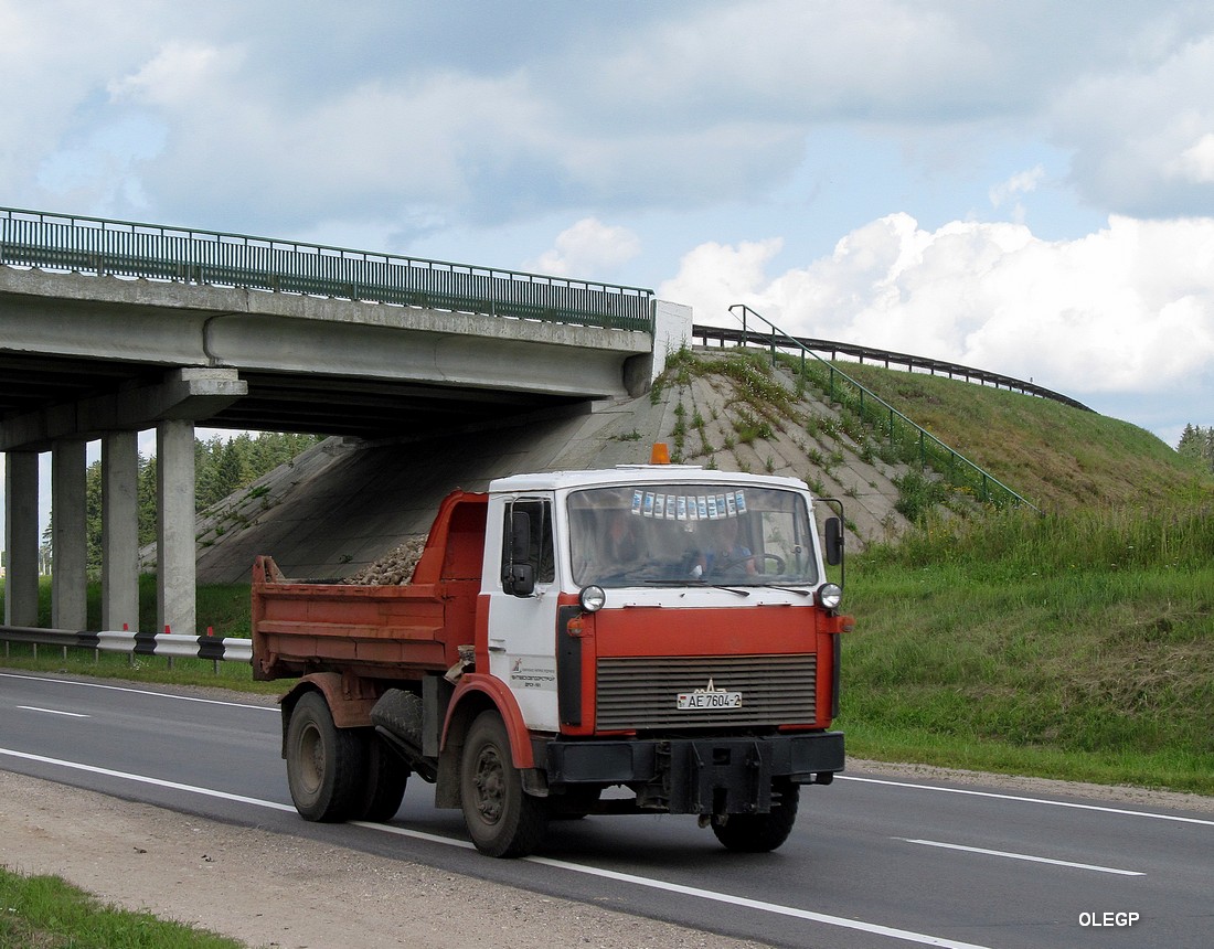 Витебская область, № АЕ 7604-2 — МАЗ-5551 (общая модель)