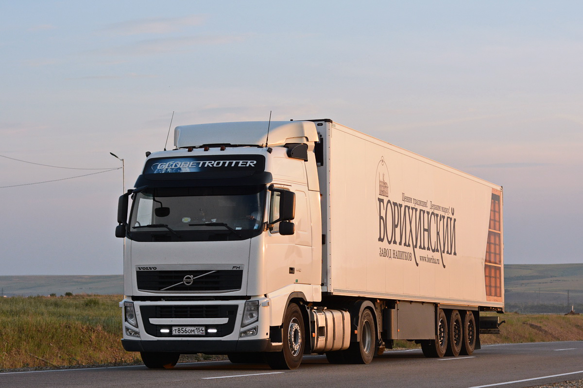 Новосибирская область, № Т 856 ОМ 154 — Volvo ('2008) FH.440