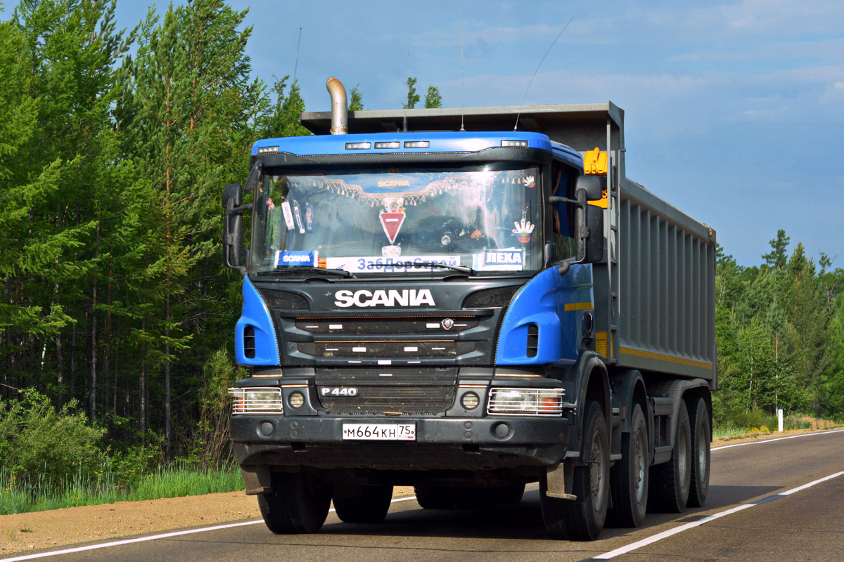 Забайкальский край, № М 664 КН 75 — Scania ('2011) P440