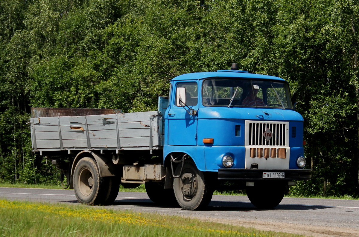 Могилёвская область, № АІ 1102-6 — IFA W50L