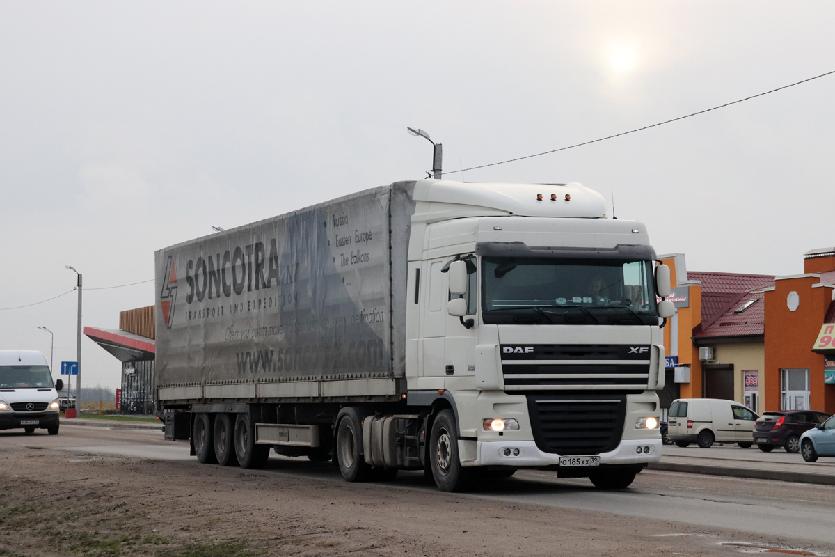 Калининградская область, № О 185 ХХ 39 — DAF XF105 FT