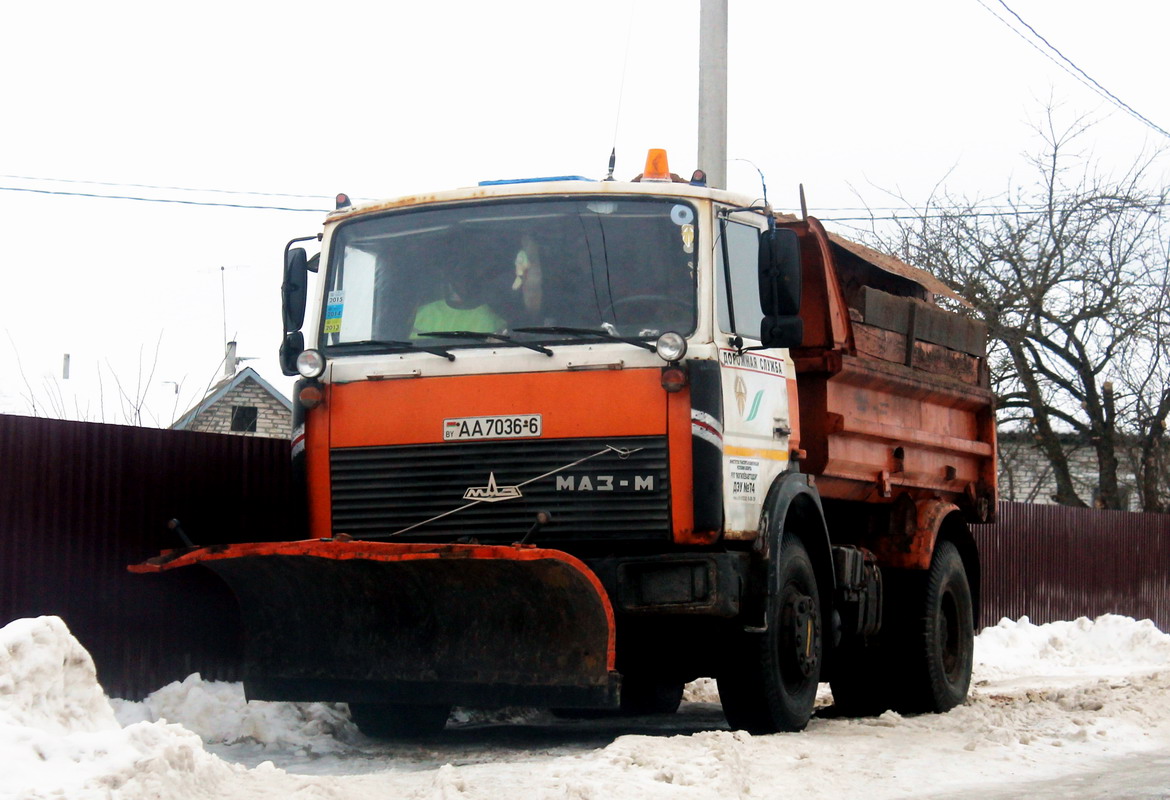 Могилёвская область, № АА 7036-6 — МАЗ-5551 (общая модель)