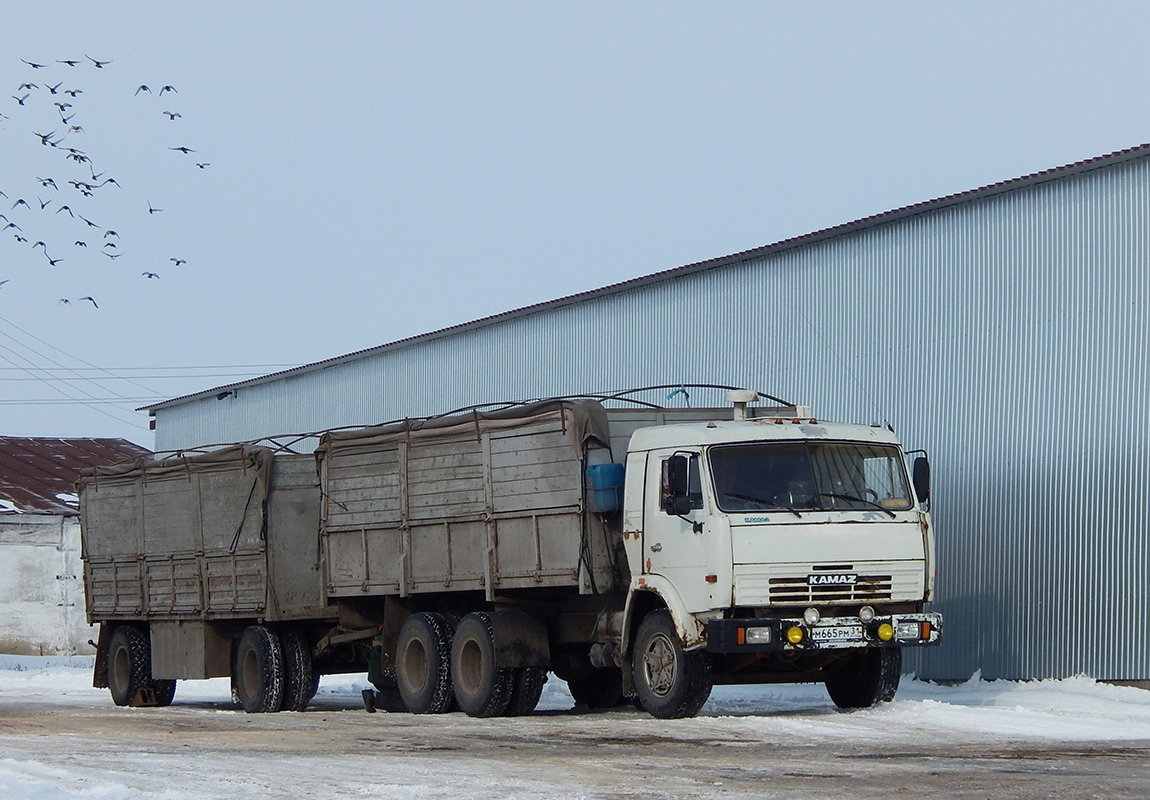 Белгородская область, № М 665 РМ 31 — КамАЗ-5320