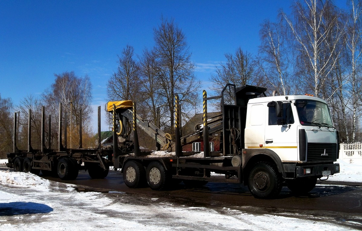 Могилёвская область, № АІ 1396-6 — МАЗ-5516A8