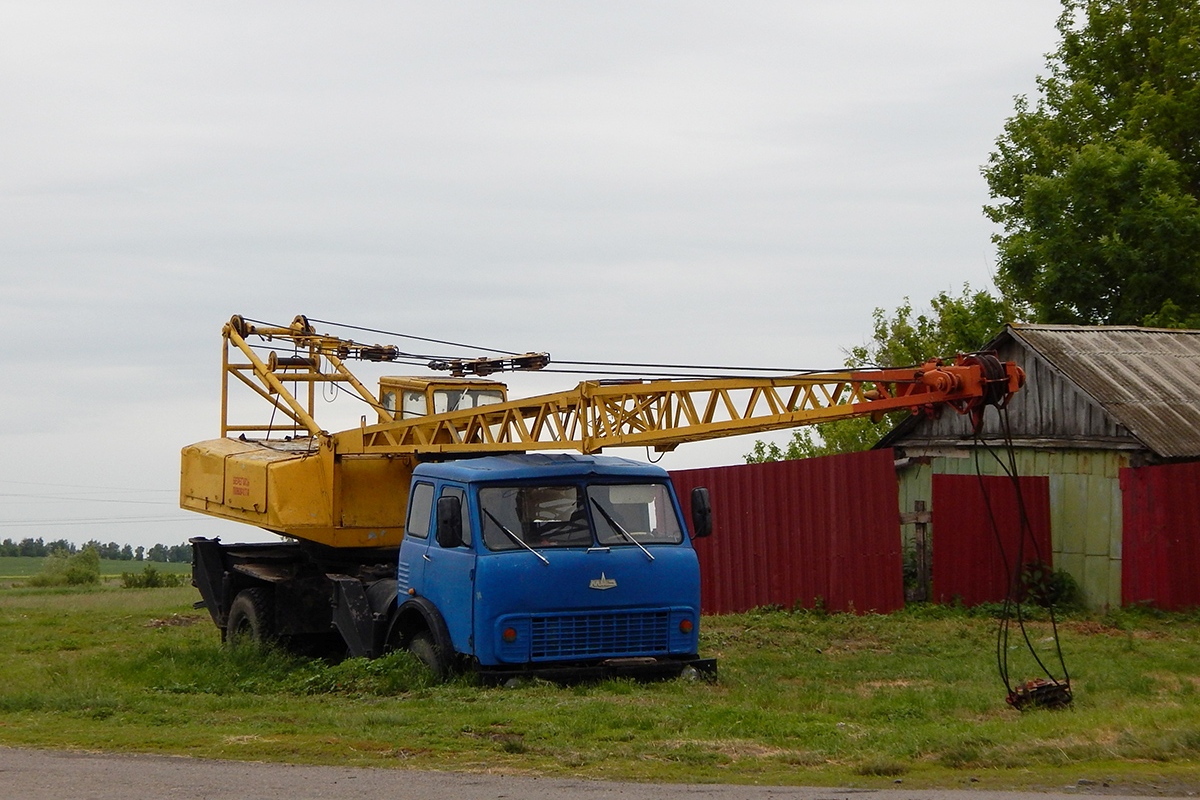 Белгородская область, № С 236 ВВ 31 — МАЗ-5334