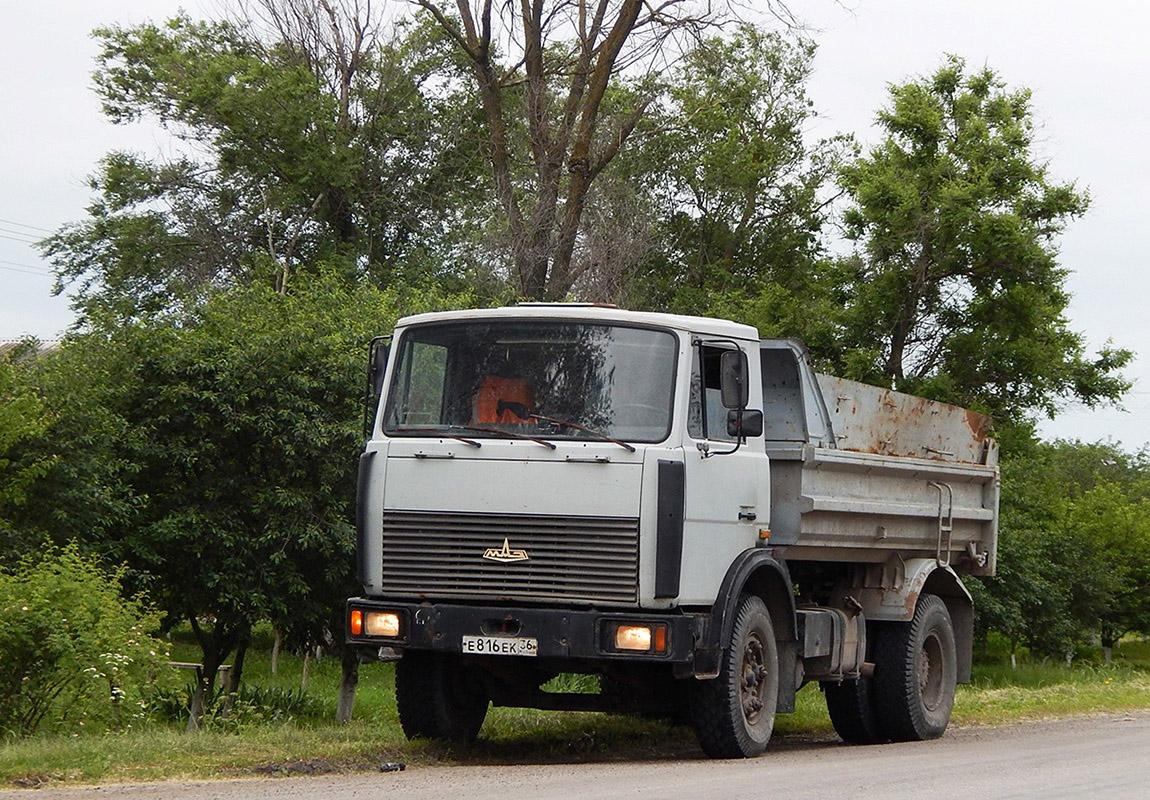 Воронежская область, № Е 816 ЕК 36 — МАЗ-5551 [555100]