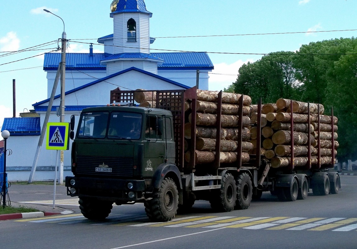 Могилёвская область, № АЕ 3406-6 — МАЗ-6317 (общая модель)