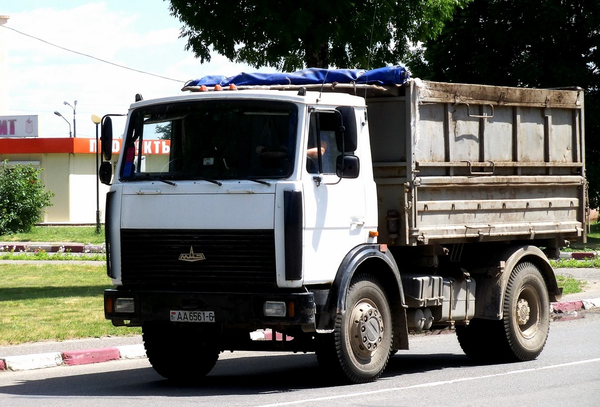 Могилёвская область, № АА 6561-6 — МАЗ-5551 (общая модель)