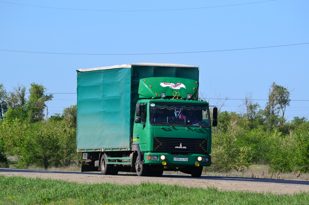 Ростовская область, № Т 584 ОА 161 — МАЗ-437141 "Зубрёнок"