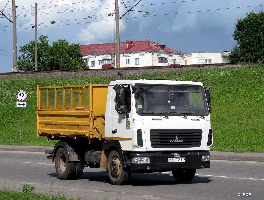 Витебская область, № АІ 9491-2 — МАЗ-4571