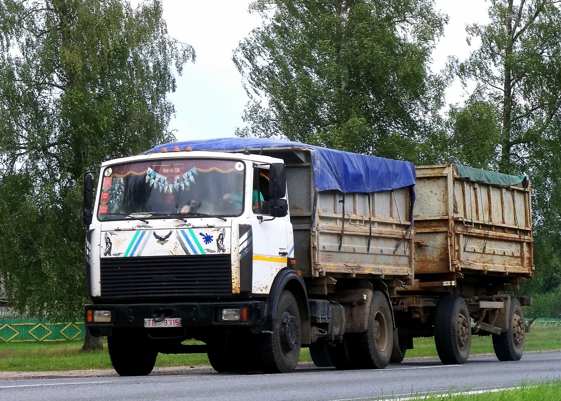 Могилёвская область, № ТВ 3315 — МАЗ-5551 (общая модель)