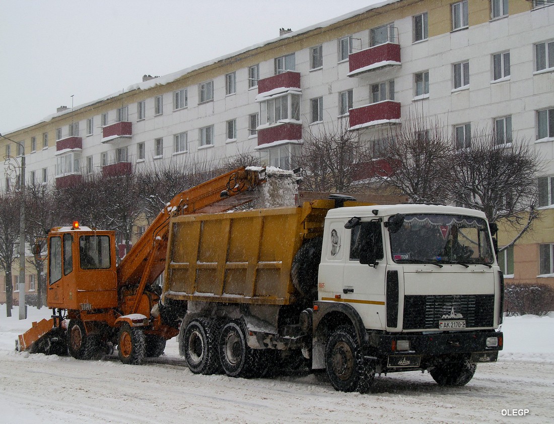 Витебская область, № 3865 — МАЗ-5516 (общая модель)