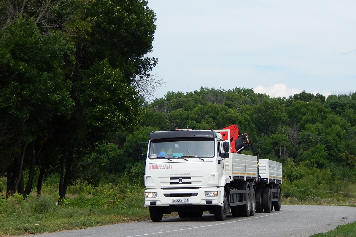 Белгородская область, № О 555 ЕМ 31 — КамАЗ-65117-L4