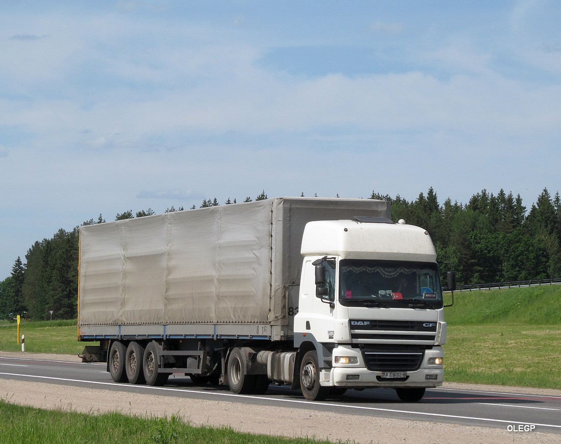 Могилёвская область, № АА 8702-6 — DAF CF85 FT