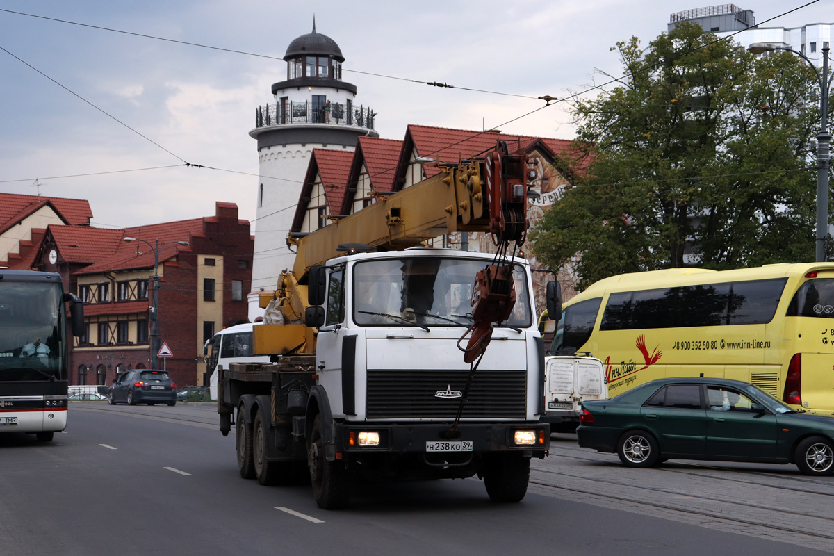 Калининградская область, № Н 238 КО 39 — МАЗ-6303 (общая модель)