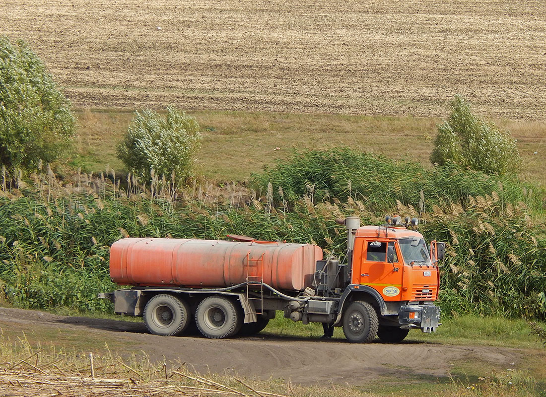 Белгородская область, № Р 689 УО 31 — КамАЗ-65115-62